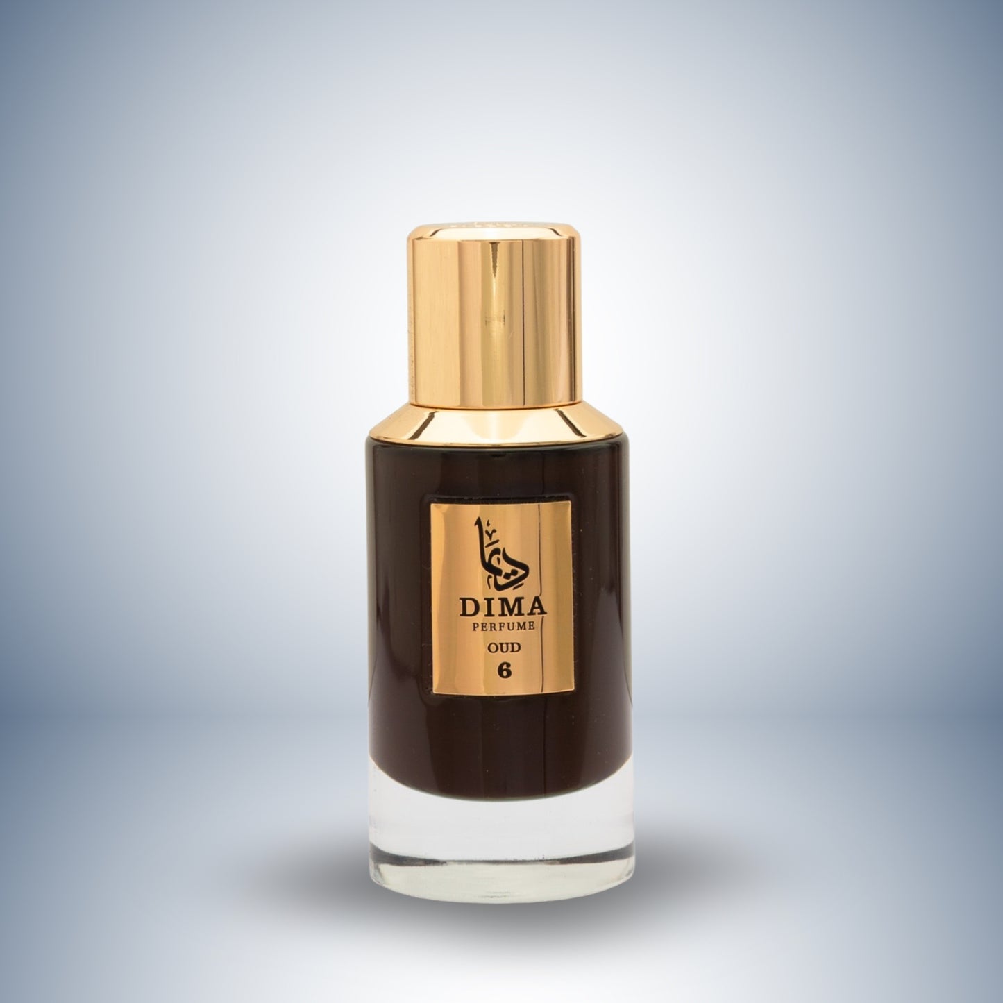 Oud 6 – Warm Spices, Oud & Leather Perfume